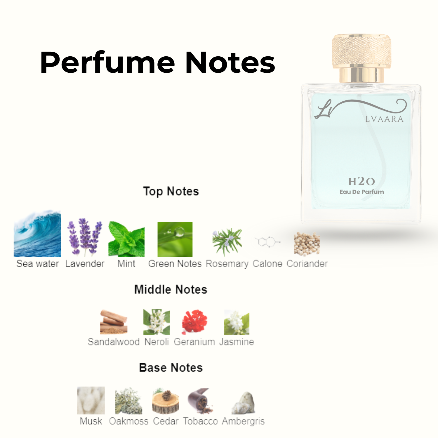 H2O | INSPIRED BY CO*L WATER BY D@VID O*F | EDP | UNISEX